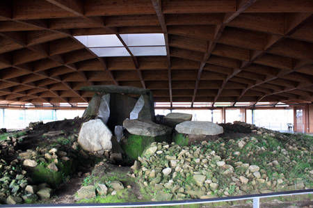 Dolmen de Dombate