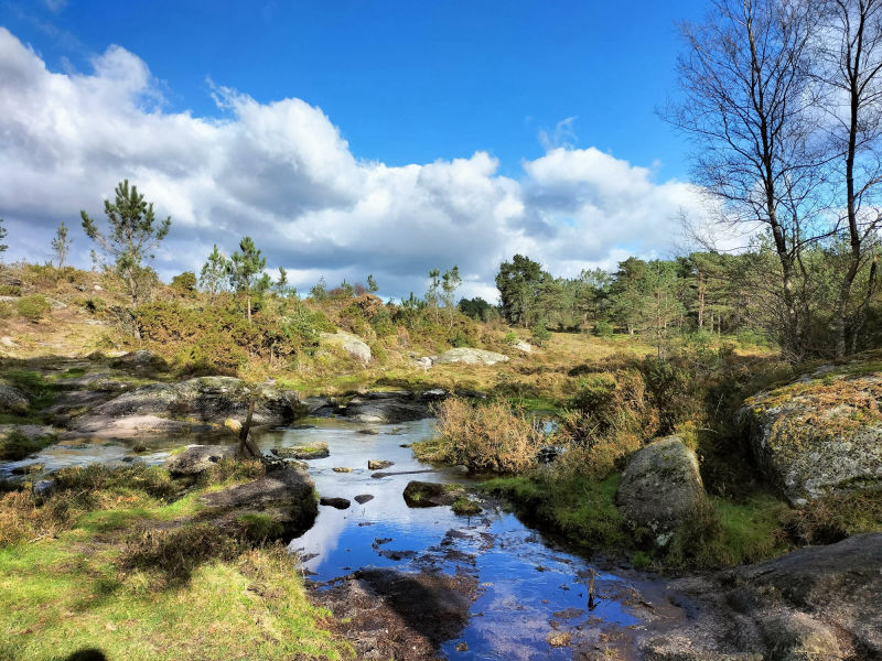 Montes do Forgoselo