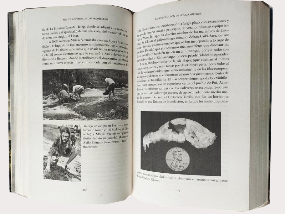 Auge y reinado de los mamíferos