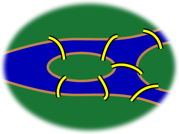 Los siete puentes de Konigsberg