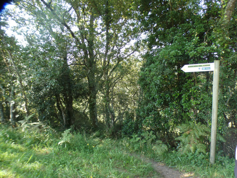 Cascada de Cioyo