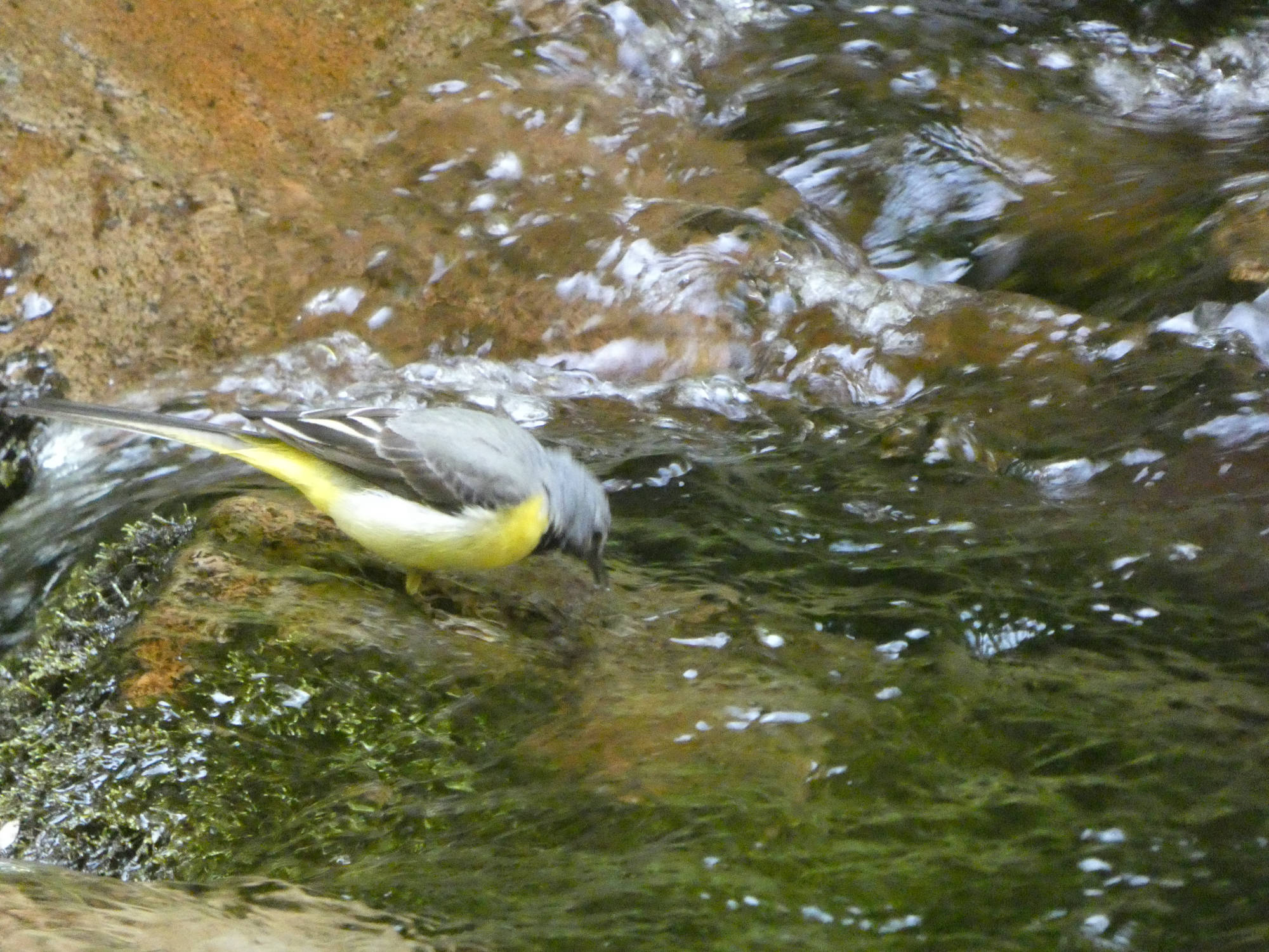 Cascada de Cioyo