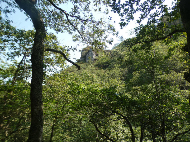 Cascada de Cioyo