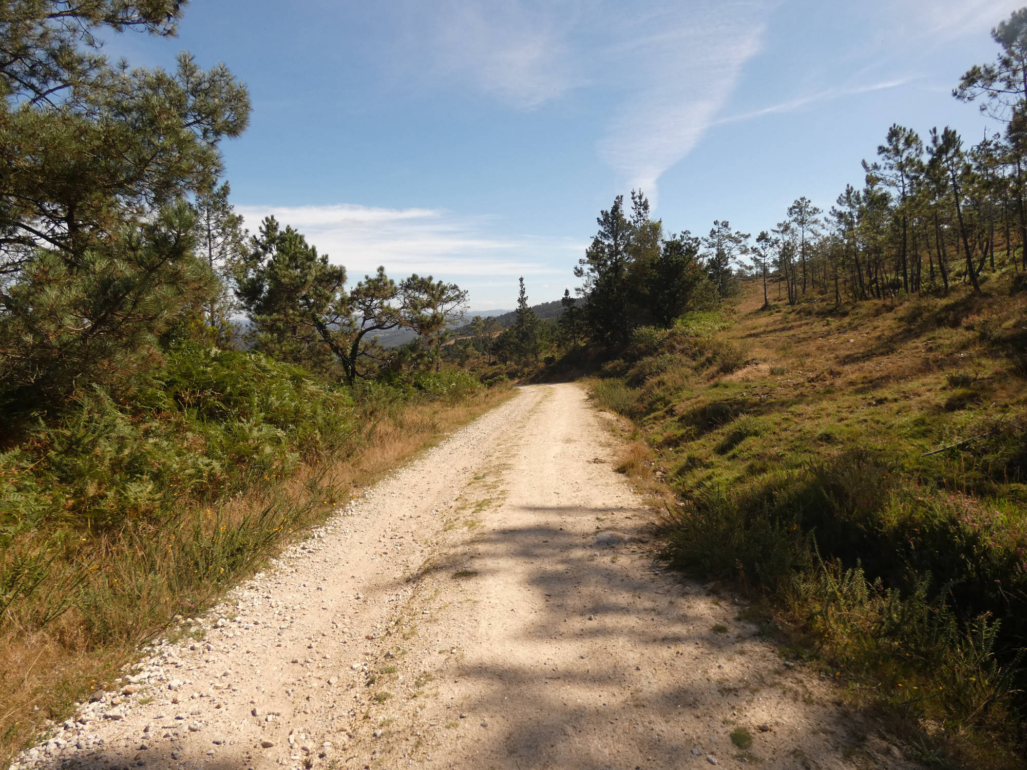 Camiño dos Cerqueiros