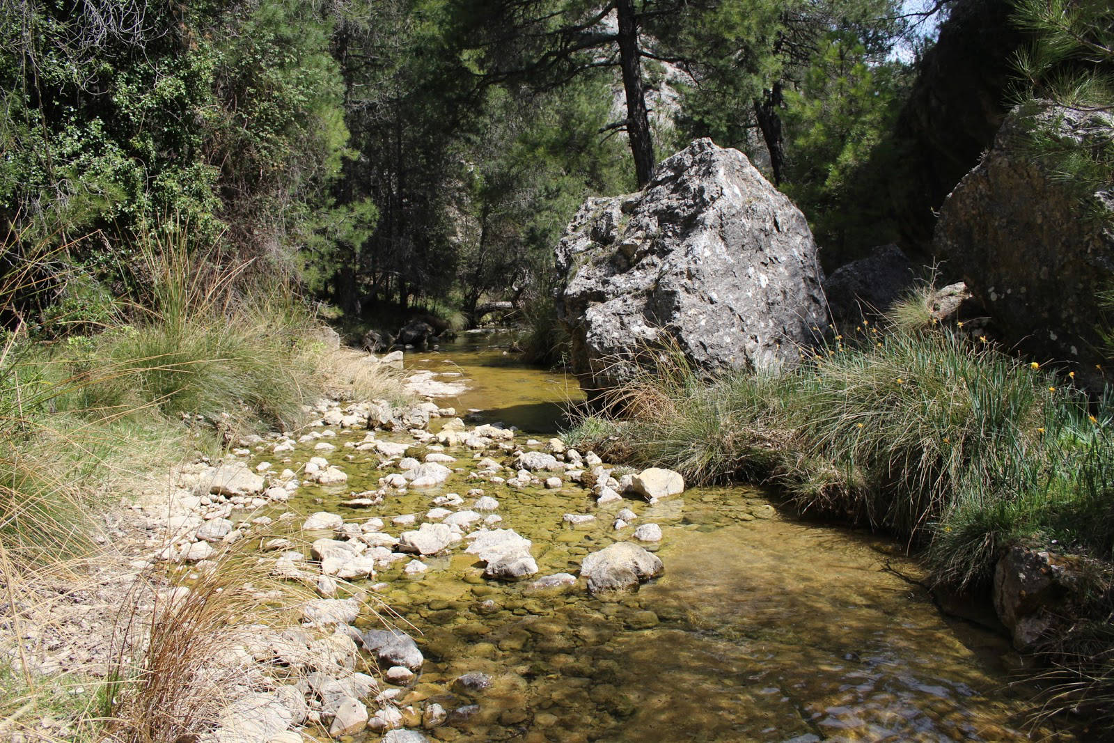 Cerrada del Pintor