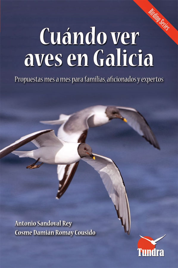 Cuándo ver aves en Galicia