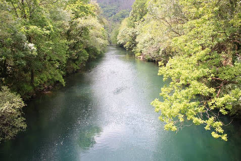 Molinos del río Sesín