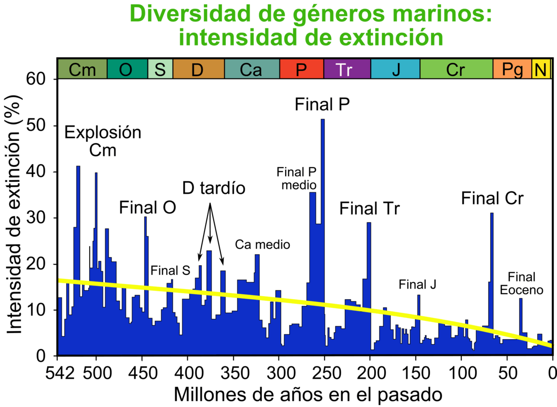 La vida al borde del abismo