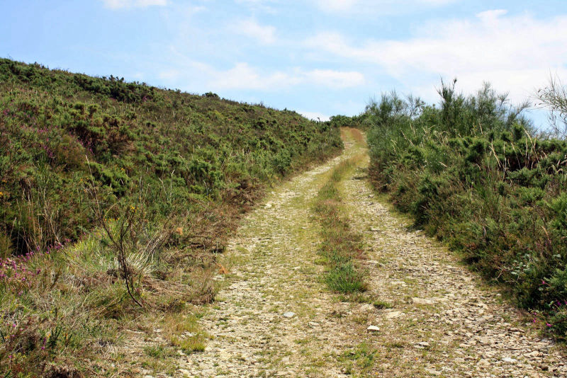 Fervenza de Brañas