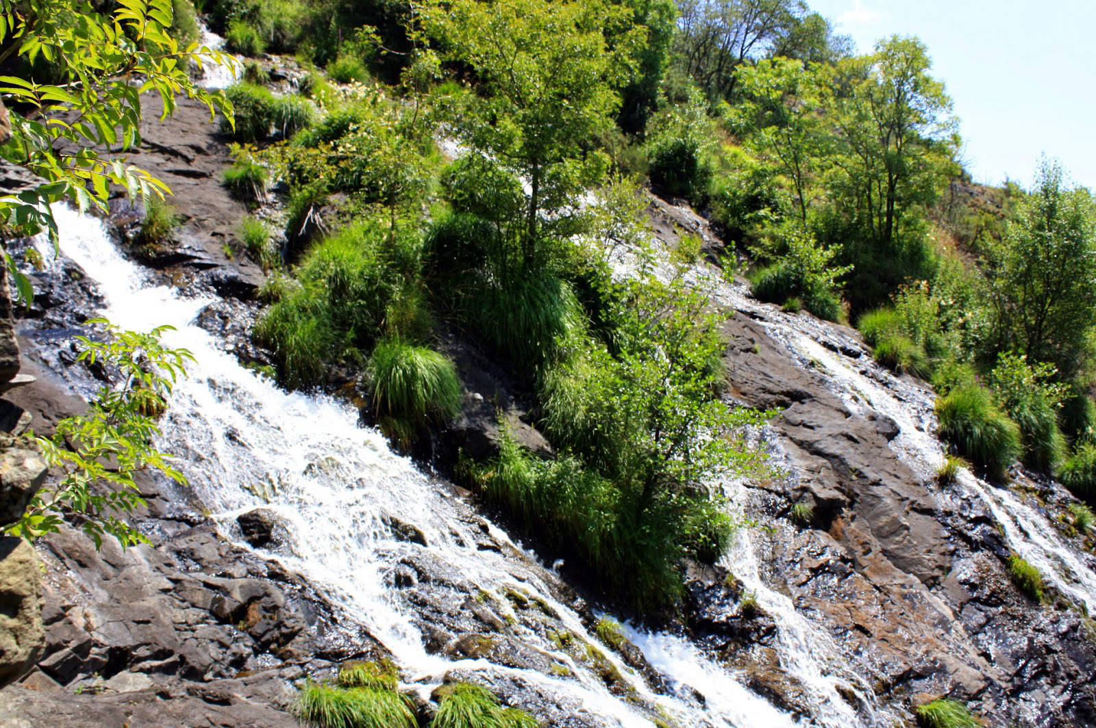 Fervenza de Brañas