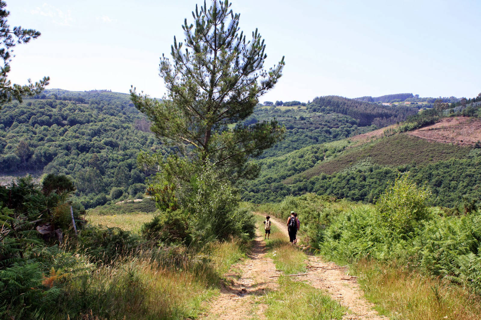 Fervenza de Brañas