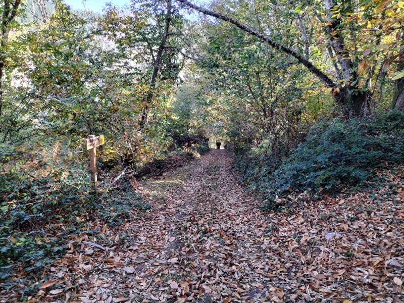 Fervenza do Pombar