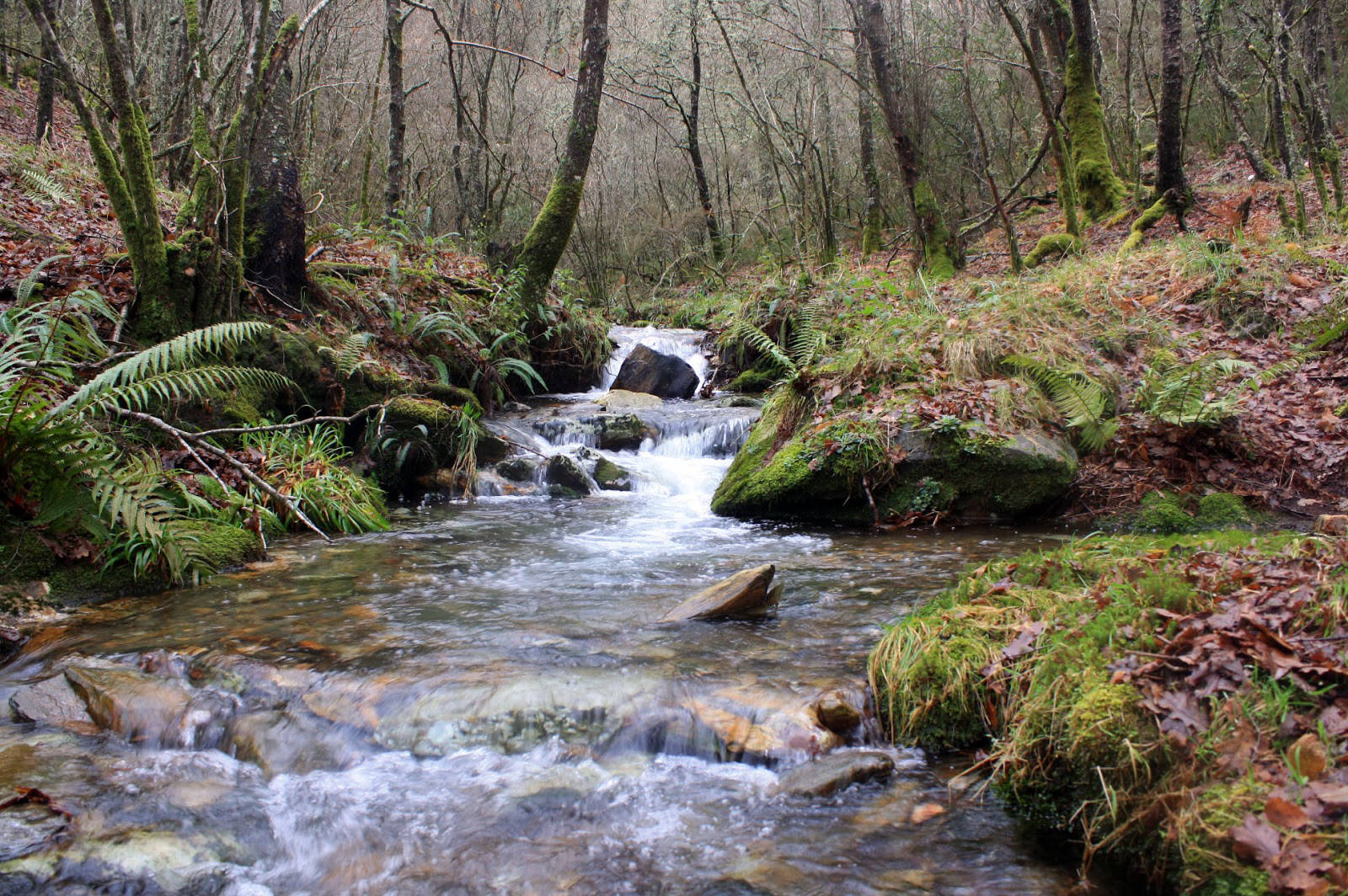 Fragas de Vilarbó y Lostegal