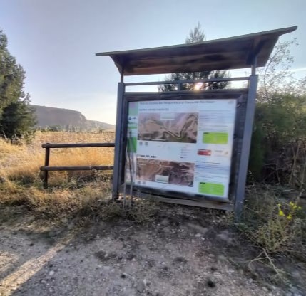 Hoces del río Riaza: la senda del río y sus buitres