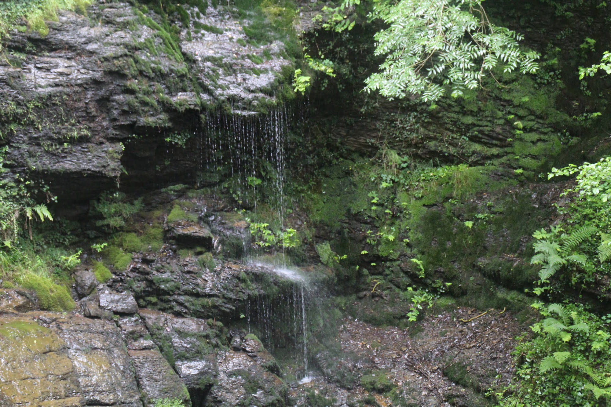 Sendero a la cascada de Uguna