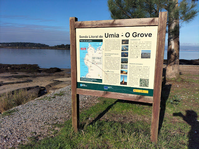 CI Umia-O Grove