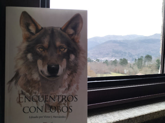 Encuentros con lobos