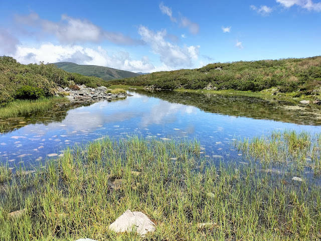 Laguna de Arbás