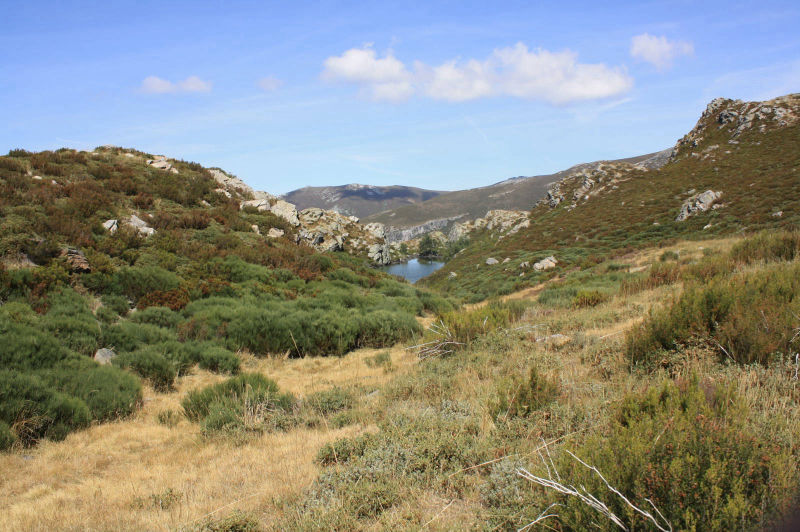 Lagunas de Ocelo y A Serpe