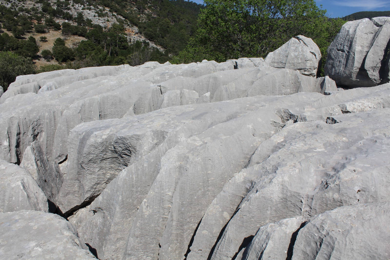 Lapiaz de Linarejos