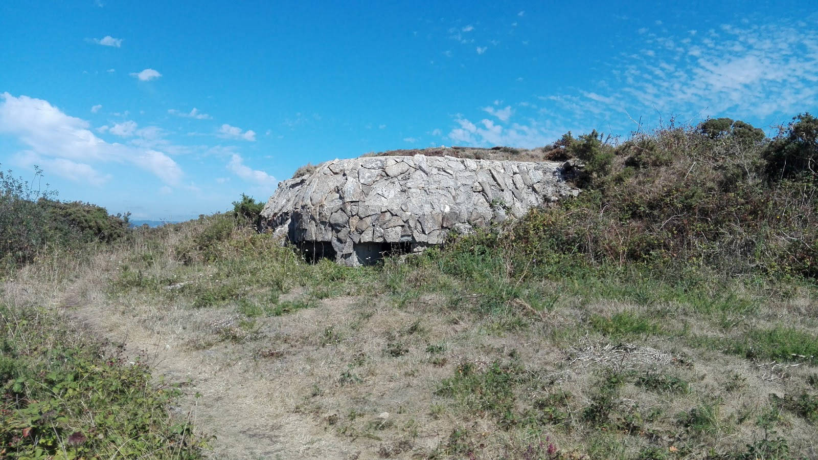 Mirador do Pedrouzo