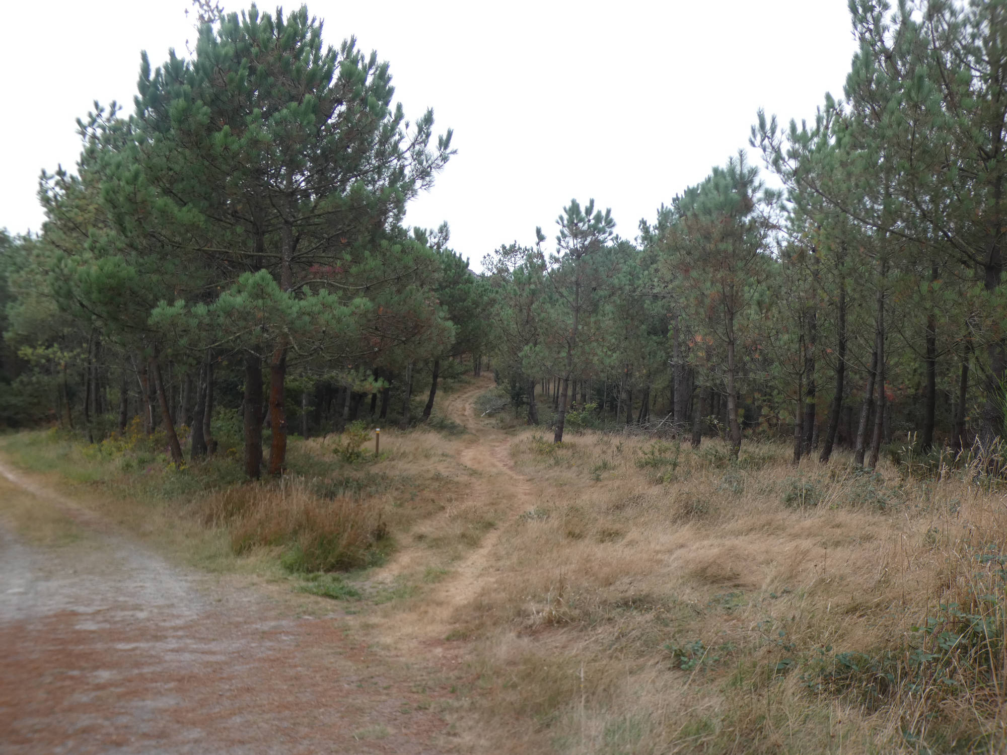 Circular Monte Pindo