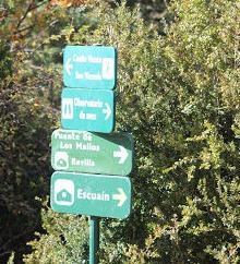 Observatorio de quebrantahuesos en Escuain