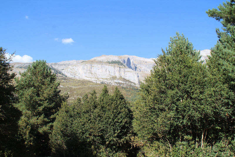 Observatorio de quebrantahuesos en Escuain