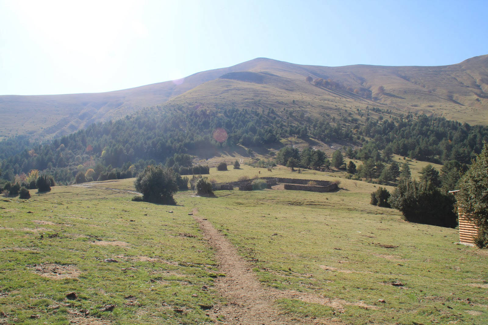 Observatorio de quebrantahuesos en Escuain