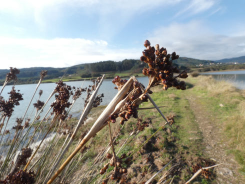 Otoño en Baldaio