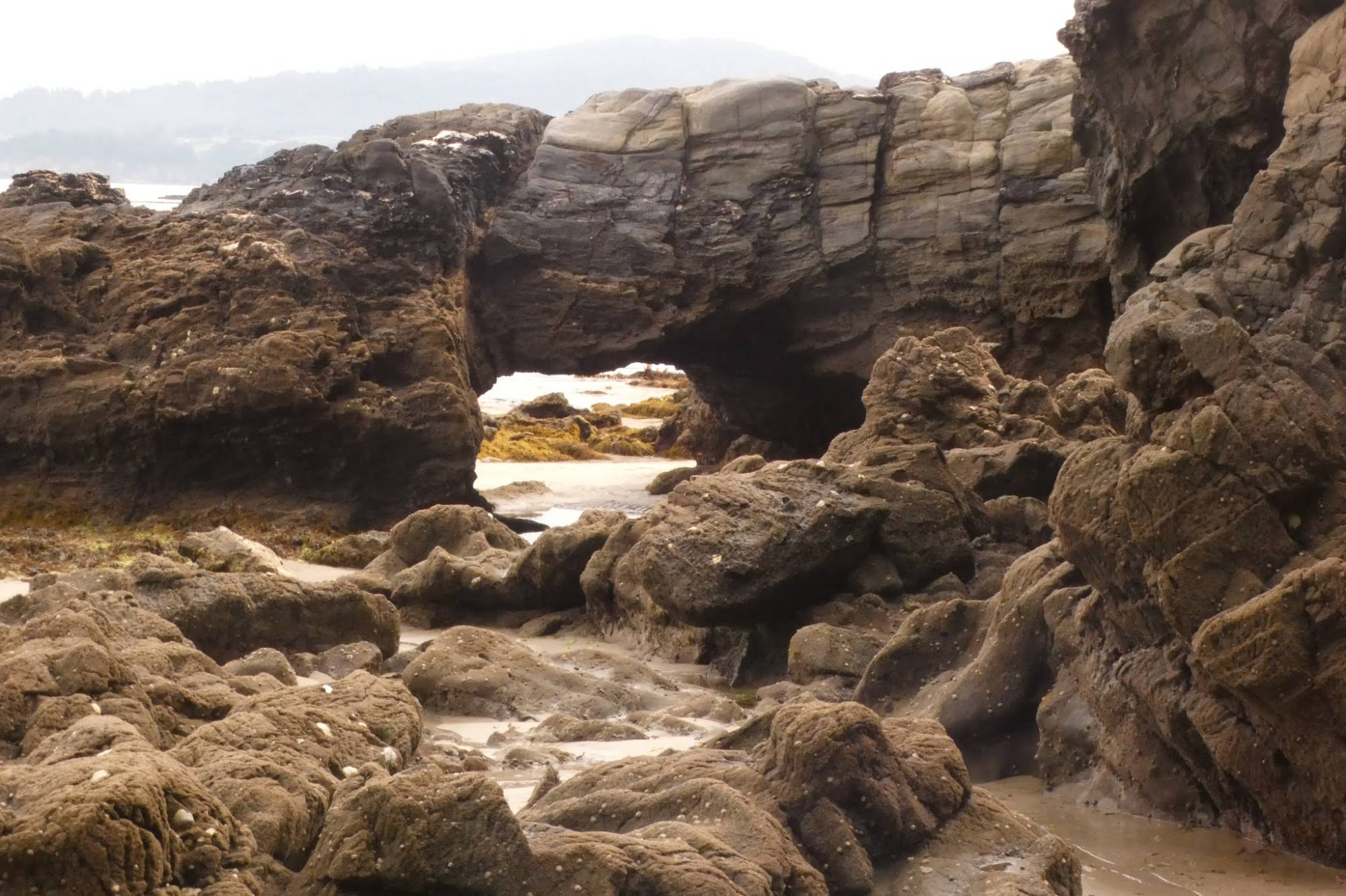 Intermareal en la Costa Doce