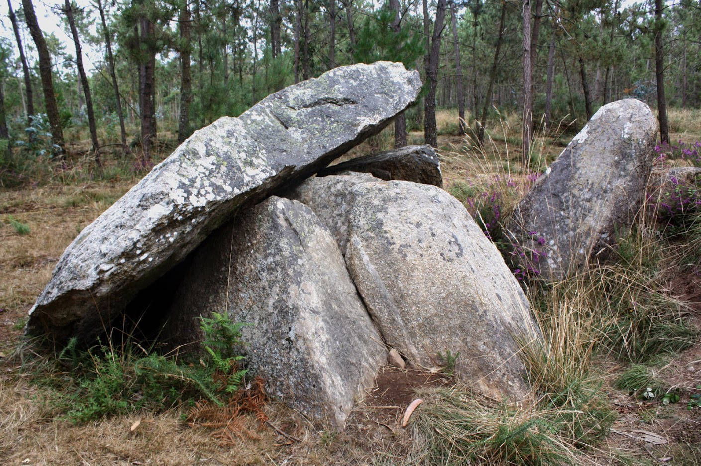 Forno dos Pedra da Arca