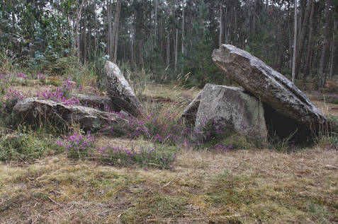 Pedra da Arca