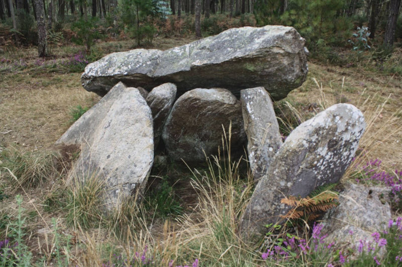 Pedra da Arca