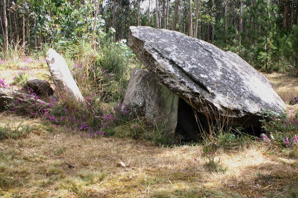 Pedra da Arca