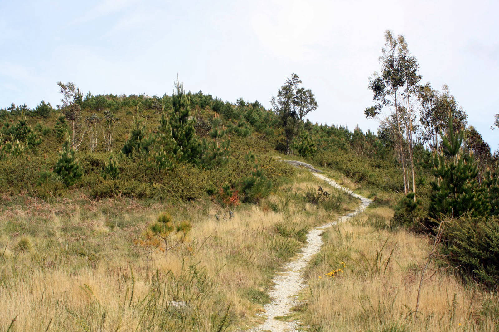 Pedra da Serpe de Valga