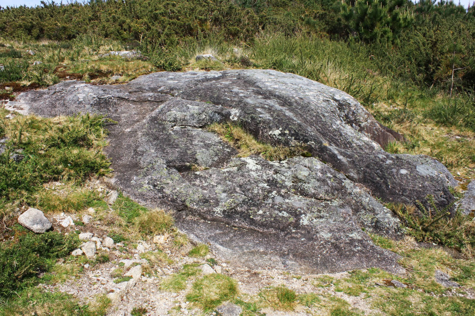 Pedra da Serpe de Valga