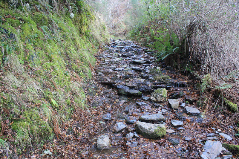 Rio Pequeno Courel