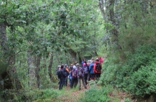 Ruta da prinda