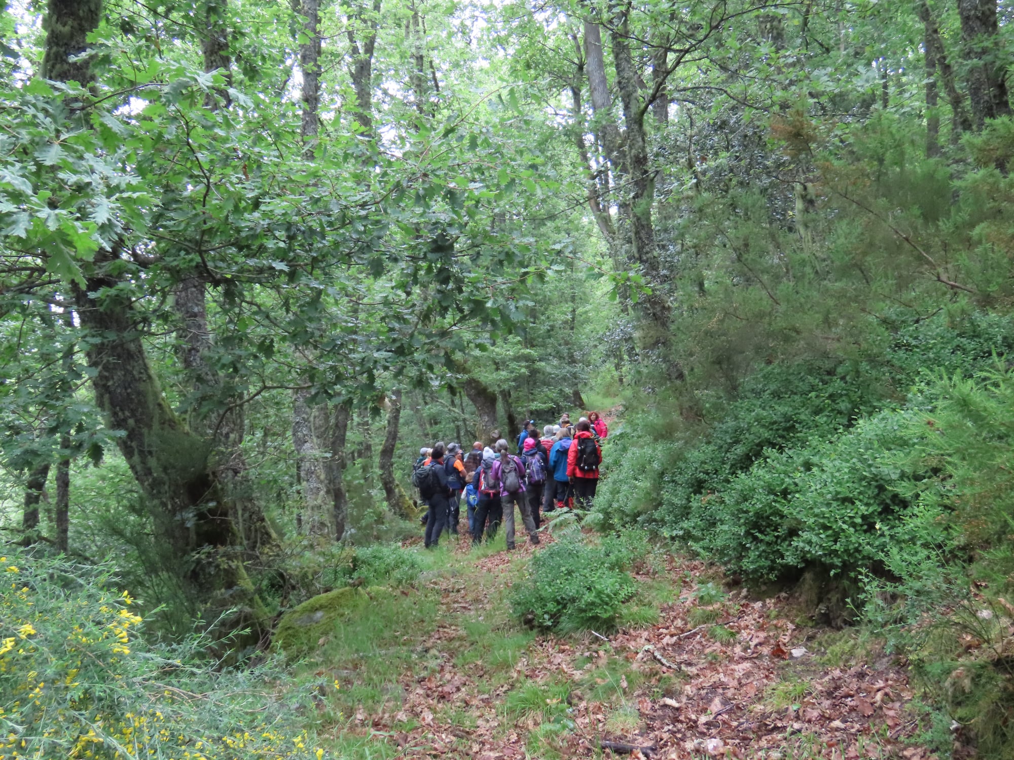 Ruta da prinda