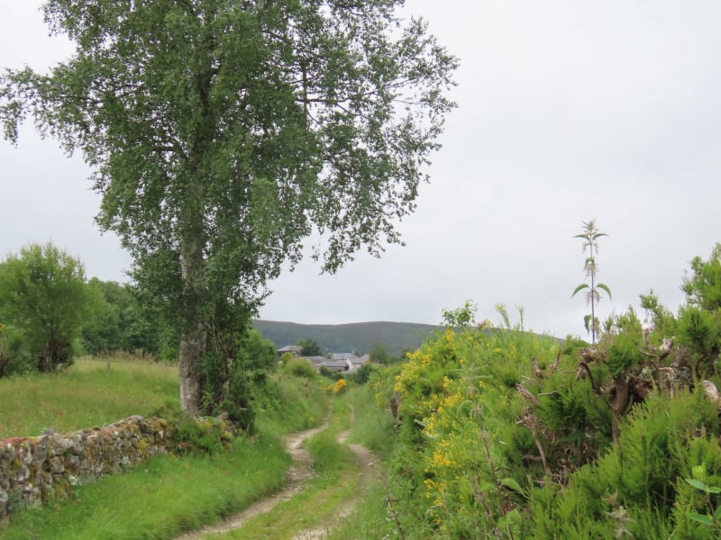 Ruta da prinda