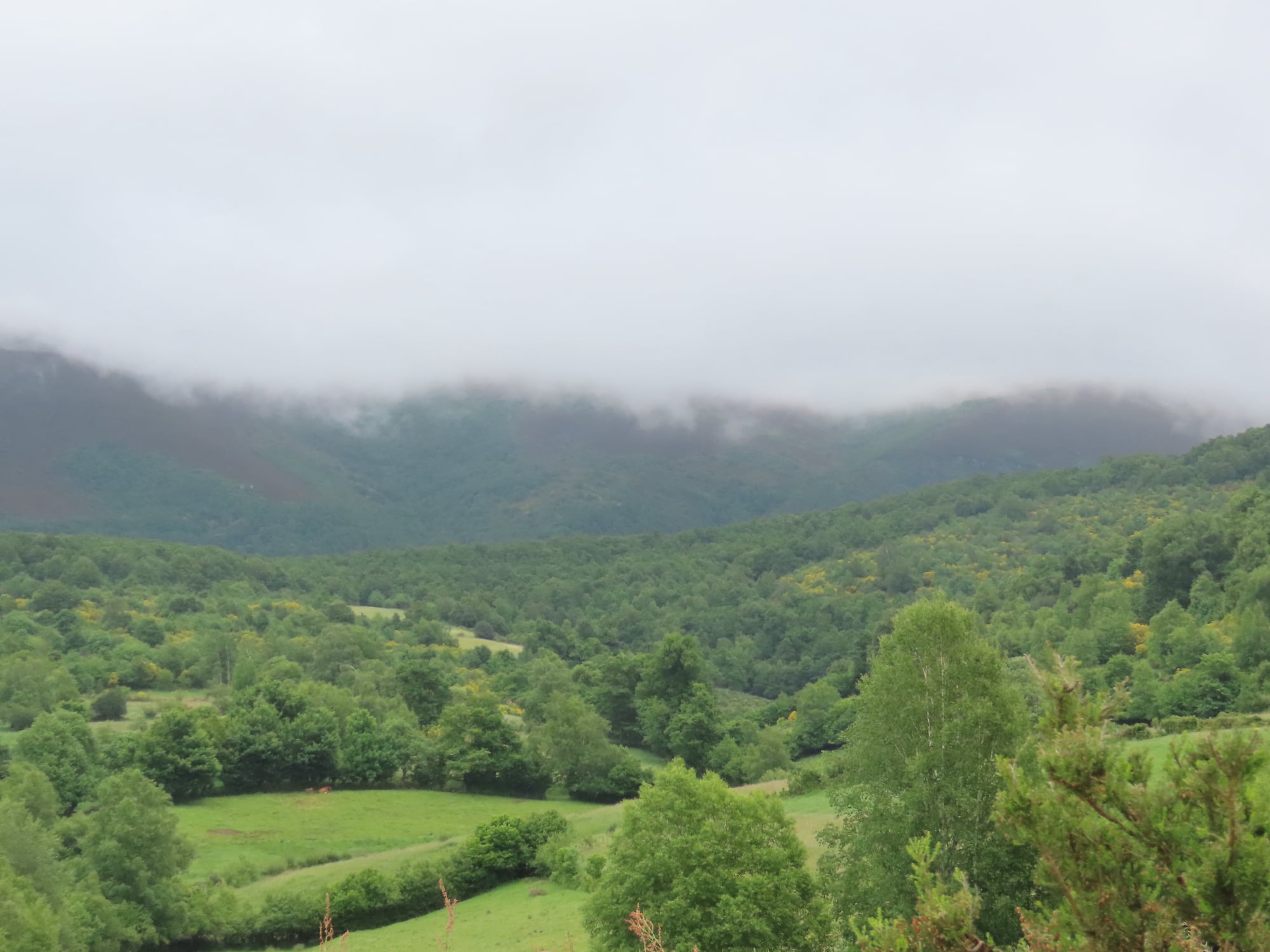 Ruta da prinda