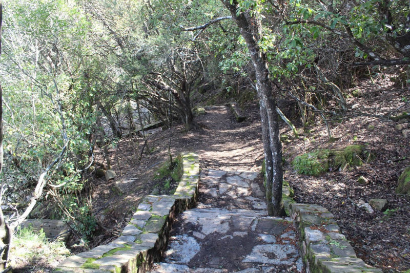 Monfragüe: ruta de la umbría