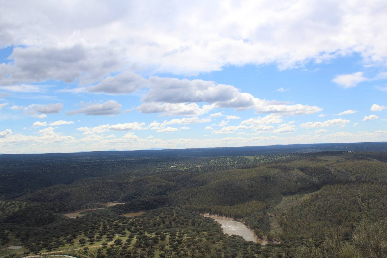 Monfragüe: ruta de la umbría