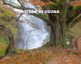 Sendero a la cascada de Uguna