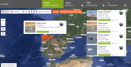 iNaturalist