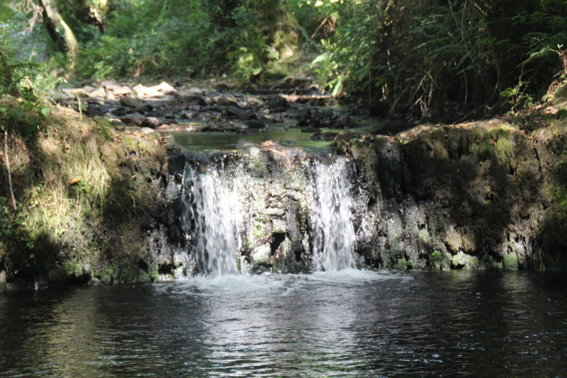 Seimeira de Oscos