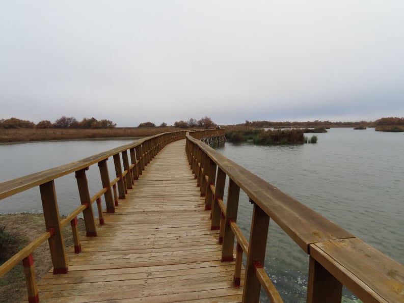 Tablas de Daimiel
