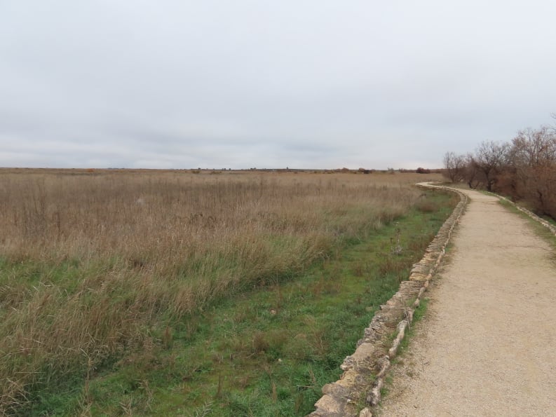Tablas de Daimiel