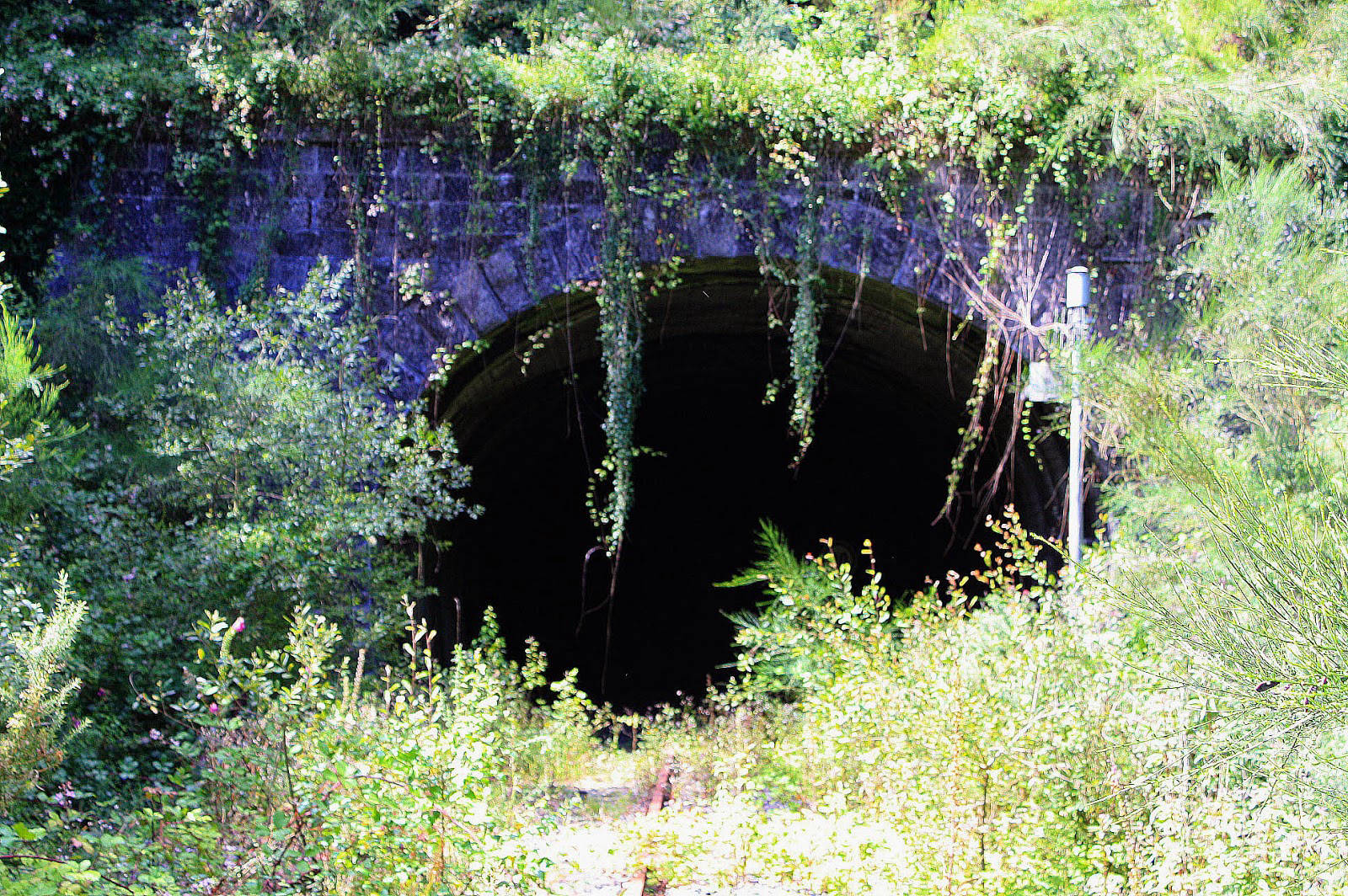 Túnel de Boedo